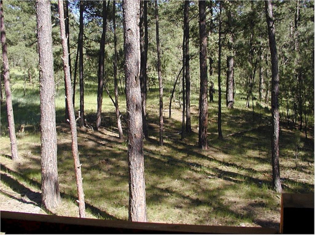 Comanche Lodge Custer Kamer foto
